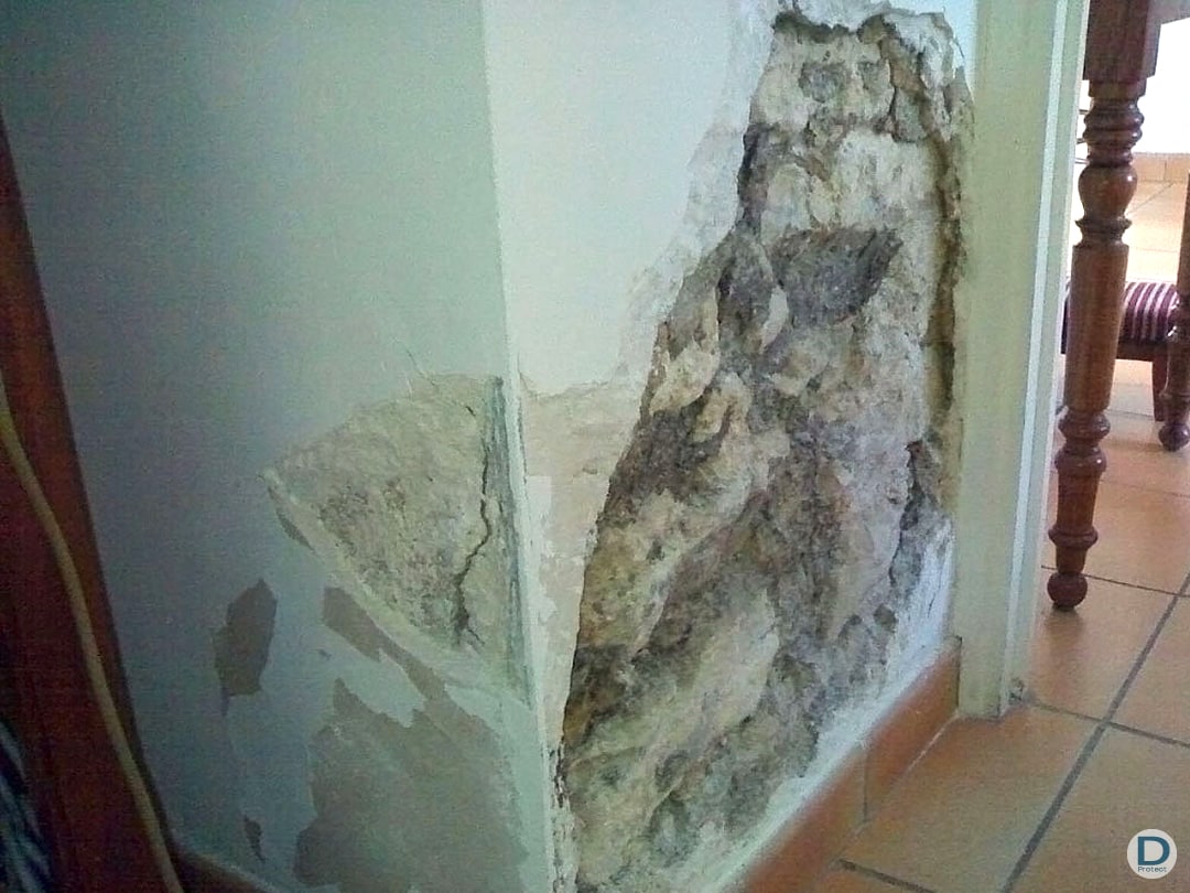 entreprise maitrise humidite ascensionnelle etape 2 liege brabant wallon