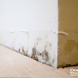 Problème d'humidité présente dans un mur intérieur